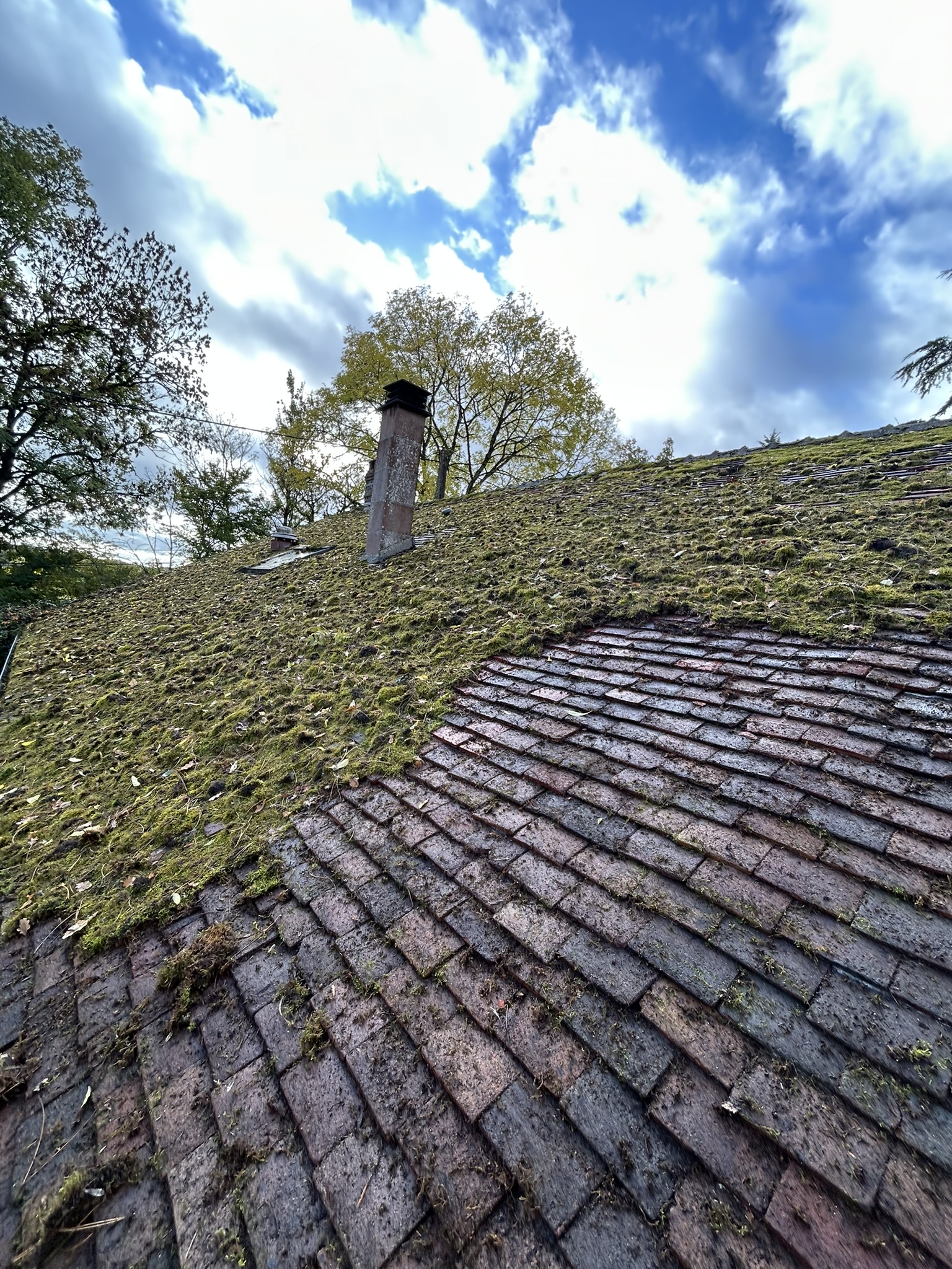 Moins de mousse sur la toiture ! Perreux