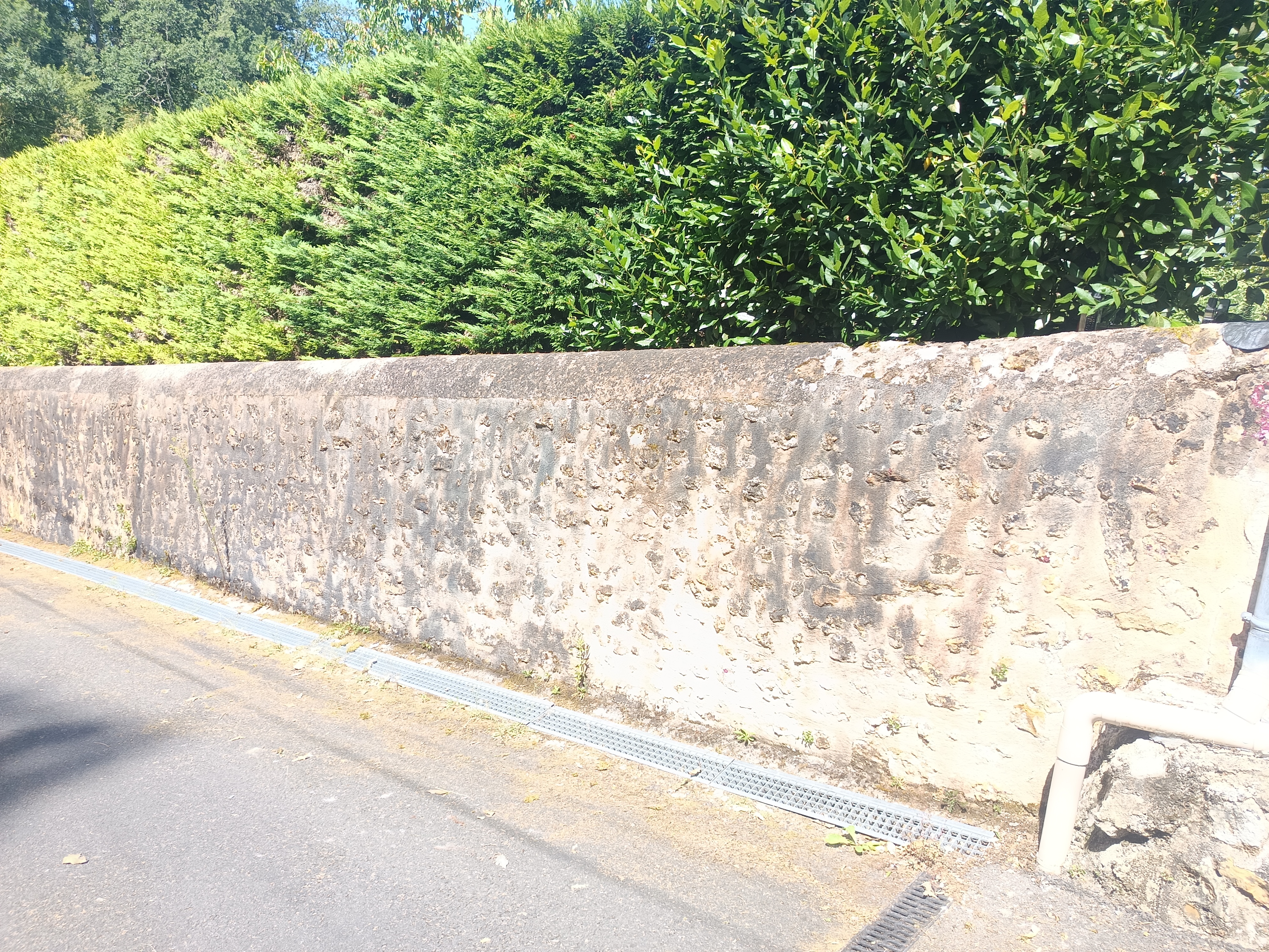 Démoussage et traitement mur Rochecorbon